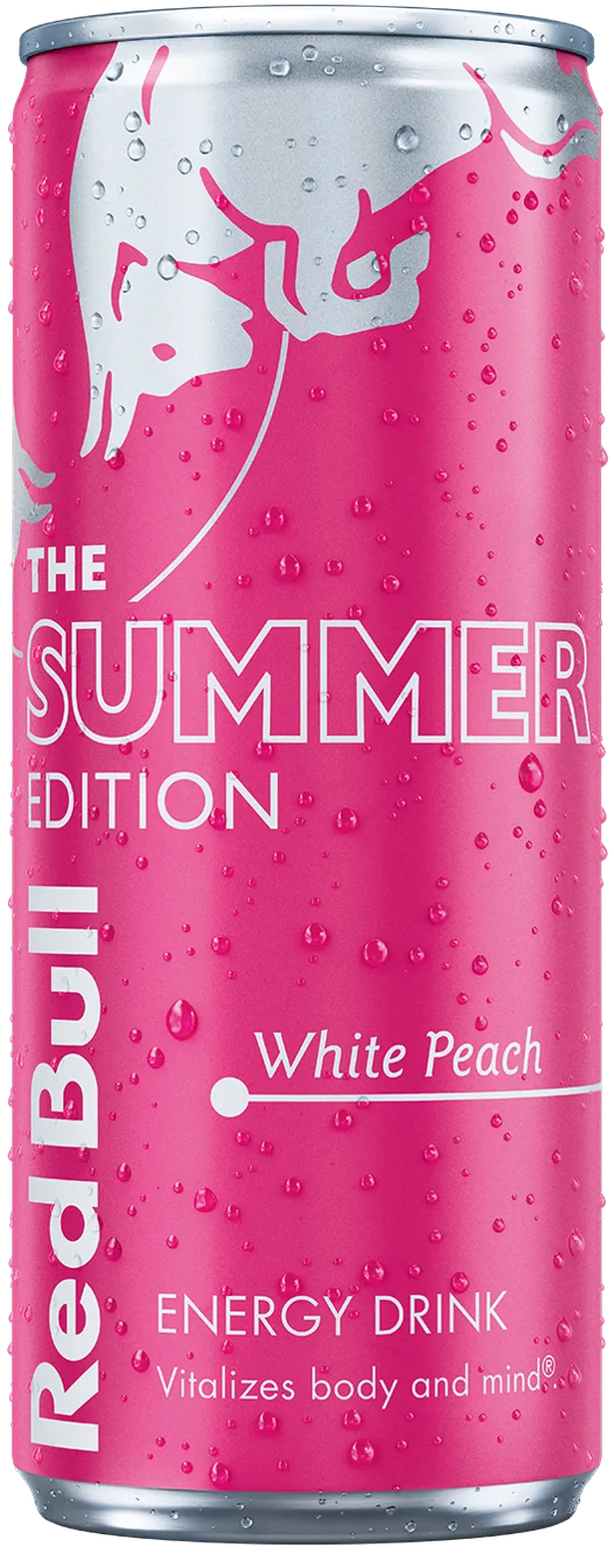 SUMMER EDITION