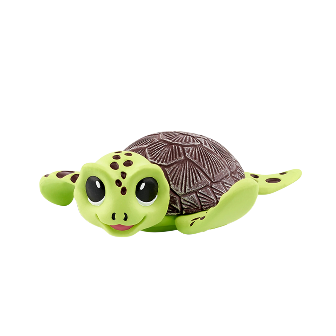 Conservation Crew: Bobby the Sea Turtle